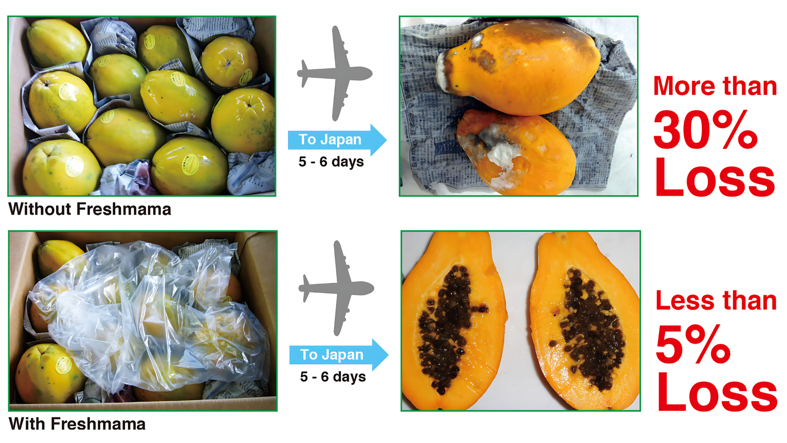 Papaya Demonstration Test Results